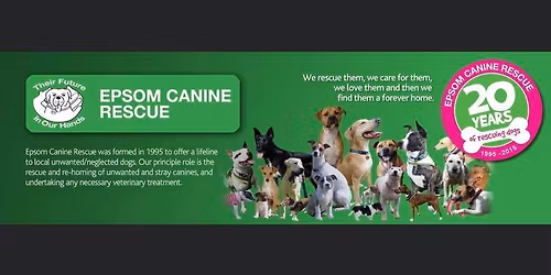 Christmas stall and street collection outside the Metro Bank in Epsom Town Centre