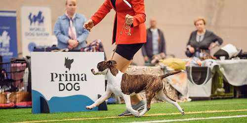 Ryhm\u00e4n\u00e4yttely 2026 | Teivo