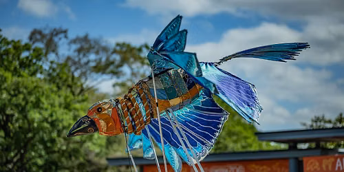 Summer evenings at Chester Zoo - Afterglow \u2600