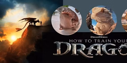 MOVIE IN THE PARK: How to Train Your Dragon