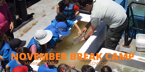 November Break Marine Science Camp