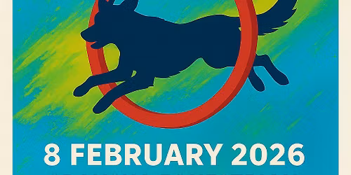 Glen-Craig 1-3 Agility Show