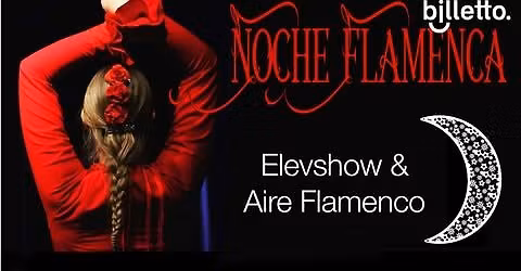 Noche Flamenca! Centro de Flamenco La Pantera\u00b4s elevshow + Aire Flamenco!