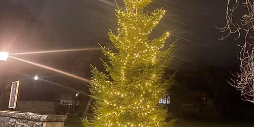 Corstorphine Christmas Lights Switch On