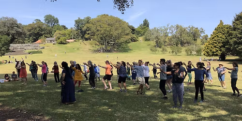 Dancing Under the Trees
