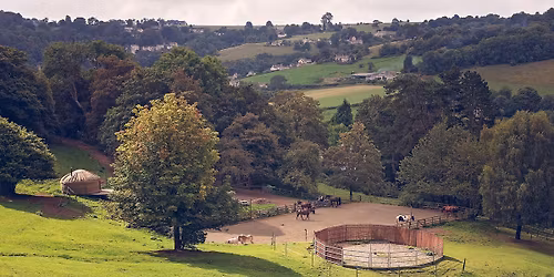 Way of the Horse - Equine Therapy Taster Day