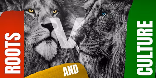 Roots and Culture with Micky Finn and Bladerunner