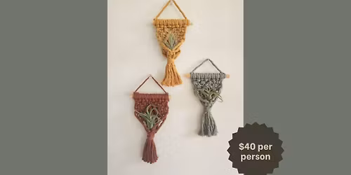 Cozy Craft Night, Make a Macram\u00e9 Air-plant Hanger