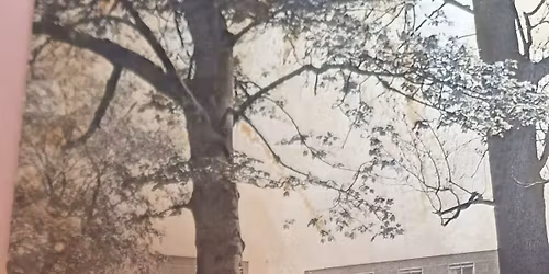 Classes of 1979\/80 and 81 Featherstone high school reunion