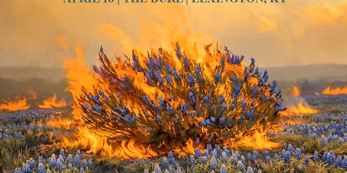 The Droptines (Indoor Show)