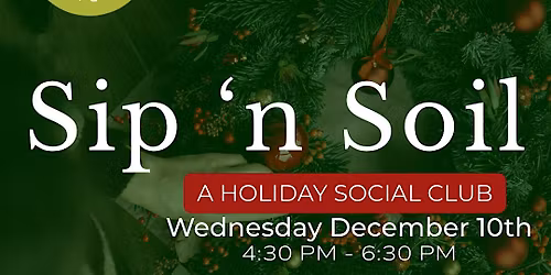 Sip 'N Soil | Holiday Centerpiece