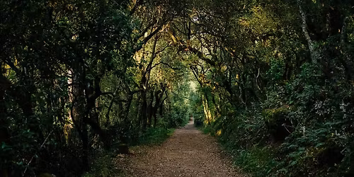 F\u00f3kusztr\u00e9ner k\u00e9pz\u00e9s 2026. szeptember, p\u00e9ntek-szombat, BP