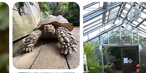 Mental Health Awareness Meetup: Conservatory + Optional Walk
