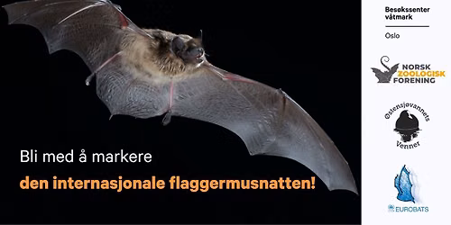 Flaggermusvandring ved \u00d8stensj\u00f8vannet