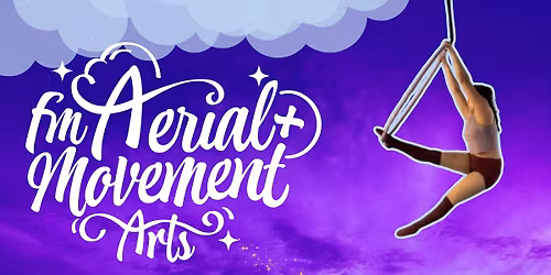 4 Week Adult Intro to Aerial Hoop