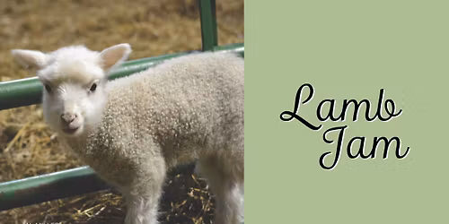 Lamb Jam