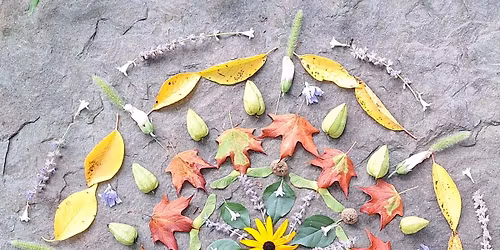 Meditate & Create: Nature's Mandala with Megan McGuirk