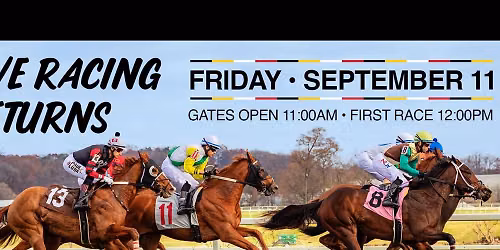 Thanksgiving Racing - Live Thoroughbred Horse Racing