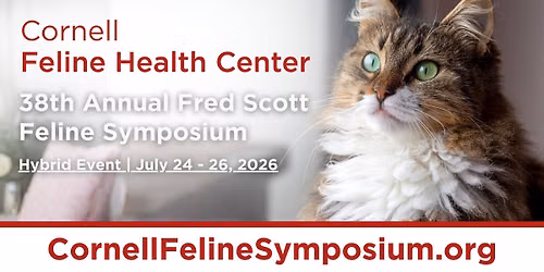 38th Annual Fred Scott Feline Symposium