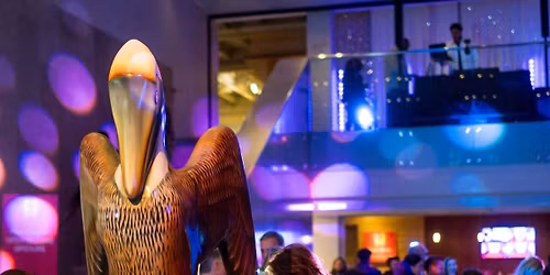 2025 Pelican Ball