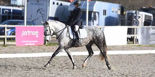 Indoor Flatwork and simulator clinic Sat 2nd and Sun 3rd May2026