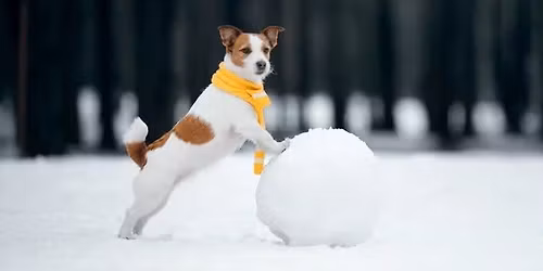 Winter Wonderland Weekend