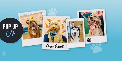 The Pup Up Caf\u00e9 Returns to The Harvey Centre! \ud83d\udc3e