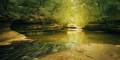 A Day at Pewit\u2019s Nest