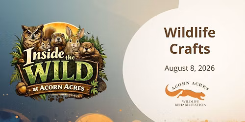 Wildlife Crafts - Inside the Wild at Acorn Acres