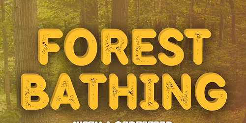 Forest Bathing with a Certified Nature + Forest Therapy Guide