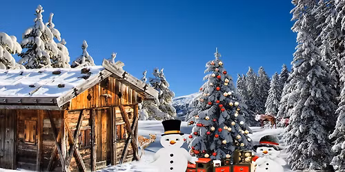 DC Ph\u00f6nix Maintal e.V. auf dem D\u00f6rnigheimer Weihnachtsmarkt