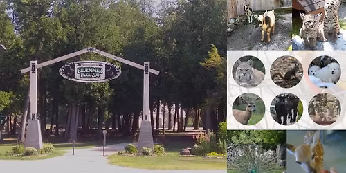 15th Annual Zoobilee