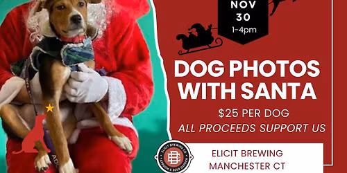 Dog Photos with Santa at Elicit Brewing in Manchester