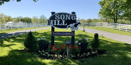 From Foal to Finish Line: Song Hill Thoroughbreds Walking Tour