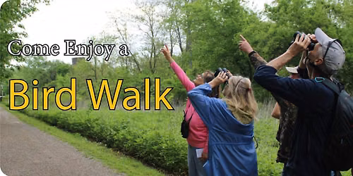 Beginner Friendly Bird Walk