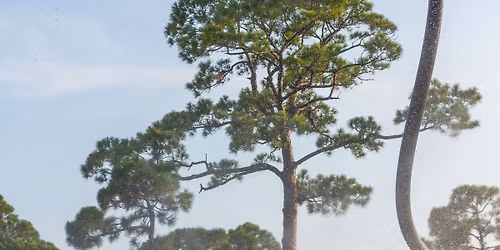 Fly Guy Thursday | Special Appearance!!