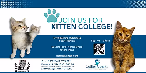 KITTEN COLLEGE with Domestic Animal Services