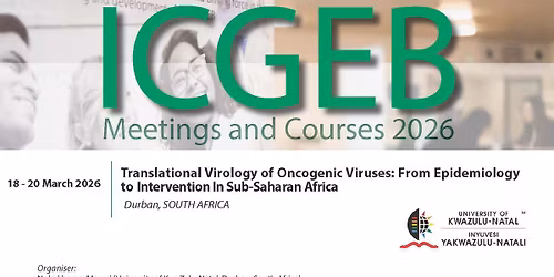 Translational Virology of Oncogenic Viruses: From Epidemiology to Intervention In Sub-Saharan Africa