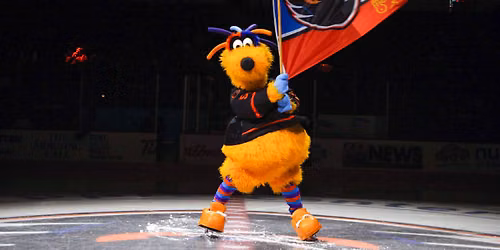 Lehigh Valley Phantoms at Hamilton Hammers at TD Coliseum