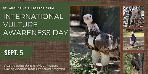 International Vulture Awareness Day