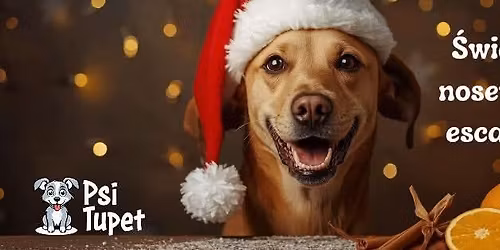 \u015awi\u0105teczny noseworkowy escape room