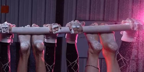 Team Gymnastics Camp