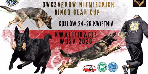 OTWARTE MISTRZOSTWA POLSKI IGP ON - DINGO GEAR CUP