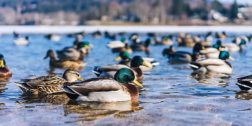 Granite City Delta Waterfowl Banquet 