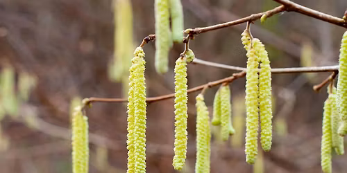 Seeing The Now - Mindful Photography