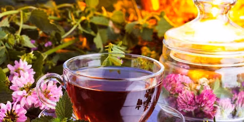 Tea making and taking workshop