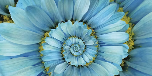 Why Are We Here and What Comes Next?