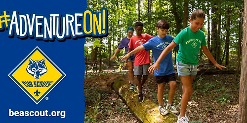 Cub Scout Packs 137 & 160 Bear Carnival