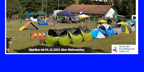 Agility-Sommerturnier beim VdH Aalen