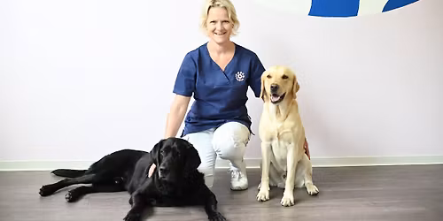 Bewegung sehen - verstehen - gezielt handeln mit Dr. Birgit Lidolt